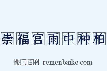 崇福宫雨中种柏是什么意思的图片